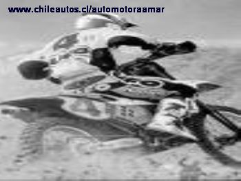 Automotora Amar - Los Andes