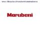 Marubeni - Vicuña Mackenna