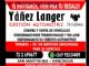 Yañez Langer - Rancagua